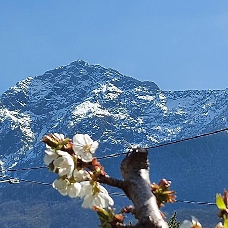 Villa Sole Colico Bagian luar foto