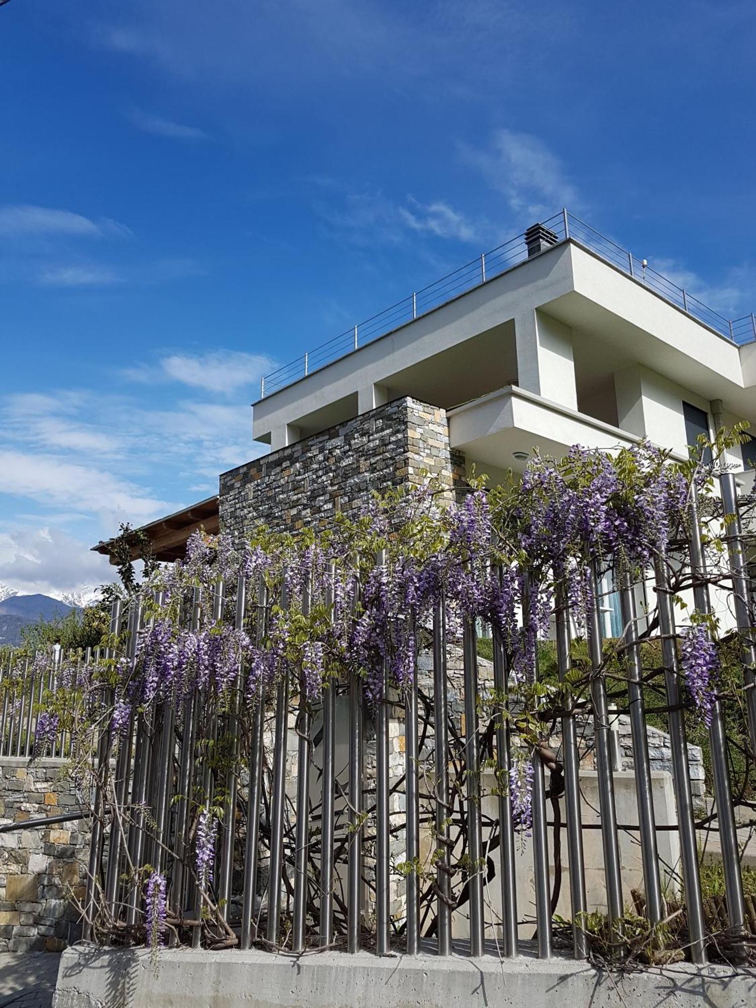 Villa Sole Colico Bagian luar foto
